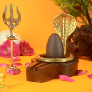 Original Narmadeshwar Shivling | 2 inch Narmadeshwar Shivling inch Plate jaladhari with trishul, nandi and Vasukhi - 02