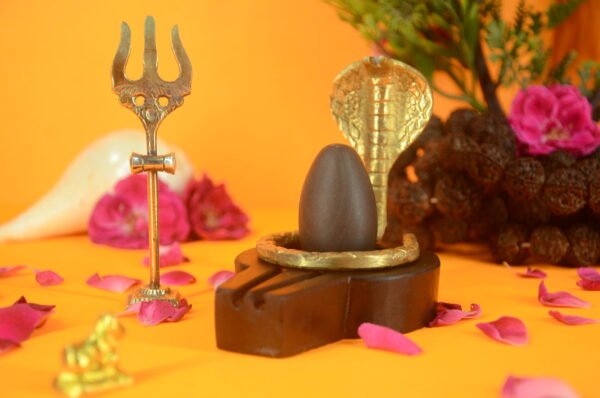 Original Narmadeshwar Shivling | 2 inch Narmadeshwar Shivling inch Plate jaladhari with trishul, nandi and Vasukhi - 02