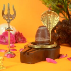 Original Narmadeshwar Shivling | 2 inch Complete Set- 03