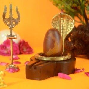 Original Narmadeshwar Shivling | 2 inch Complete Set - 06