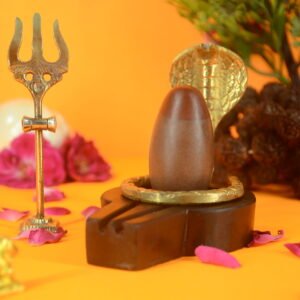 Original Narmadeshwar Shivling | 2 inch Complete Set - 10