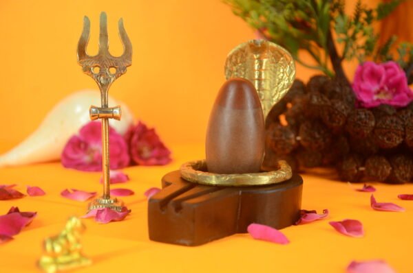 Original Narmadeshwar Shivling | 2 inch Complete Set - 10
