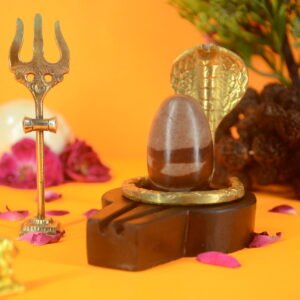 Original Narmadeshwar Shivling | 2 inch Complete Set - 11