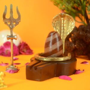 Original Narmadeshwar Shivling | 2 inch Complete Set - 12