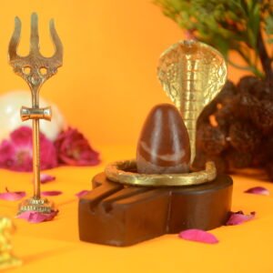 Original Narmadeshwar Shivling | 2 inch Complete Set - 19
