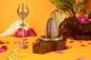Original Narmadeshwar Shivling | 2 inch Complete Set - 20