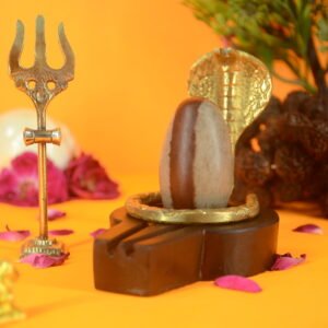 Original Narmadeshwar Shivling | 2 inch Complete Set - 20