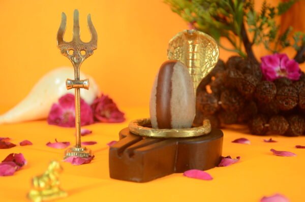 Original Narmadeshwar Shivling | 2 inch Complete Set - 20