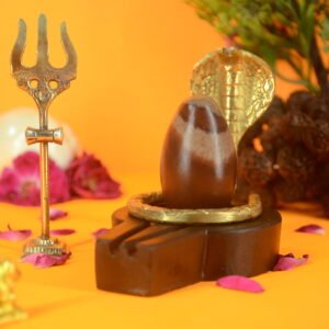 Original Narmadeshwar Shivling | 2 inch Complete Set - 21