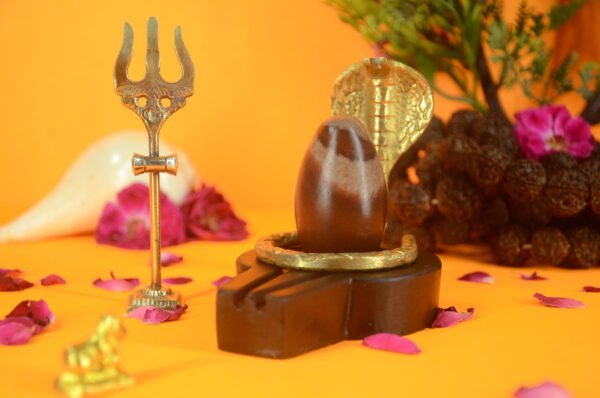 Original Narmadeshwar Shivling | 2 inch Complete Set - 21