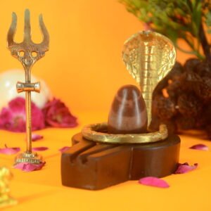 Original Narmadeshwar Shivling | 2 inch Complete Set - 22