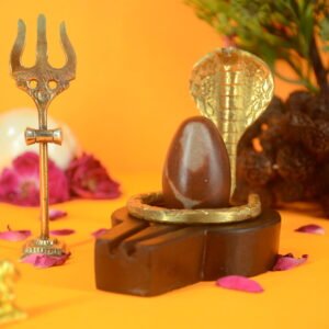 Original Narmadeshwar Shivling | 2 inch Complete Set - 23