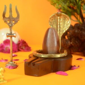 Original Ardhnareshwar Narmadeshwar Shivling | 2 inch Complete Set - 24