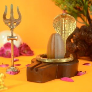 Original Ardhnareshwar Narmadeshwar Shivling | 2 inch Complete Set - 25