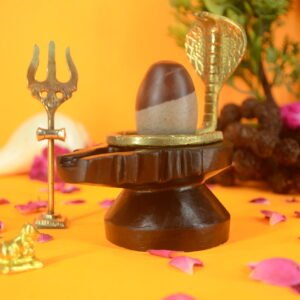 Original Ardhnareshwar Narmadeshwar Shivling | 2 inch Complete Set - 27