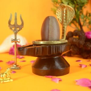 Original Ardhnareshwar Narmadeshwar Shivling | 2 inch Complete Set  - 29