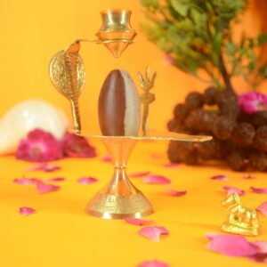 Original Ardhnareshwar Narmadeshwar Shivling | 2 inch Complete Set - 30
