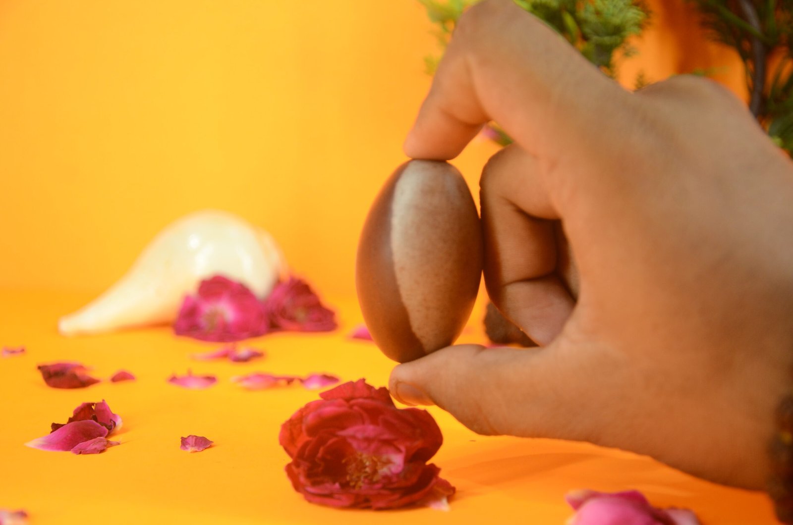 Original Narmadeshwar Shivling | 2 inch Complete Set - 07 - Image 2